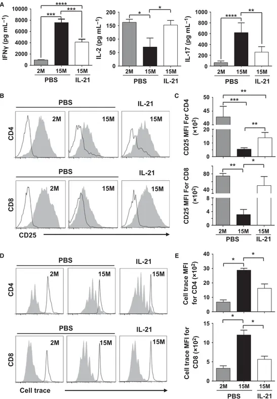 Fig. 5 Enhanced biological responses of peripheral T-cell pool derived from rIL-21-treated aged mice