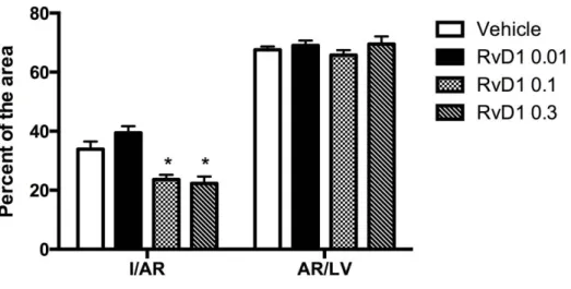 Figure  1.  Infarct  size  (I)  expressed  as  percentage  of  the  area  at  risk  (AR),  and  AR  as  percentage of the left ventricle (LV) after 24-h reperfusion