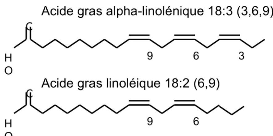 Figure 4. Structure et nomenclature des AG alpha-linolénique (ALA) et linoléique (LA)