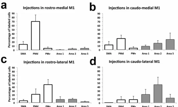 Figure 6. Proportion of labeled cell bodies in ipsilateral hemisphere. Each panel shows the  average proportion of labeled cells in the different premotor and parietal areas (area 1, 2 and  5) in the reconstructed sections (mean  ± standard deviation; n=3)