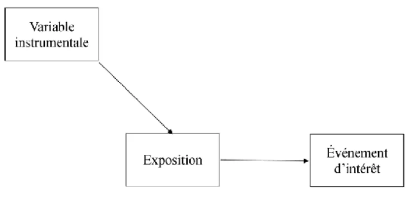 Figure 3. Graphique acyclique dirigé décrivant une variable instrumentale 