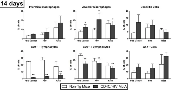 Figure 7.  Percentages of lung immune cell populations, quantified by flow cytometry, in  CD4C/HIV MutA  Tg and non-Tg mice 14 days after inoculation with PBS control, C