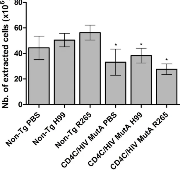 Figure 8. Total number of extracted pulmonary cells 14 days after inoculation of  CD4C/HIV MutA  Tg and non-Tg mice with PBS control, C