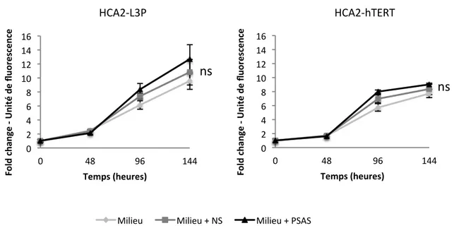 Figure  7.  La  faible  intensité  de  RDA  due  à  l’expression  de  la  télomérase  n’offre  pas  d’avantage  prolifératif en présence de PSAS