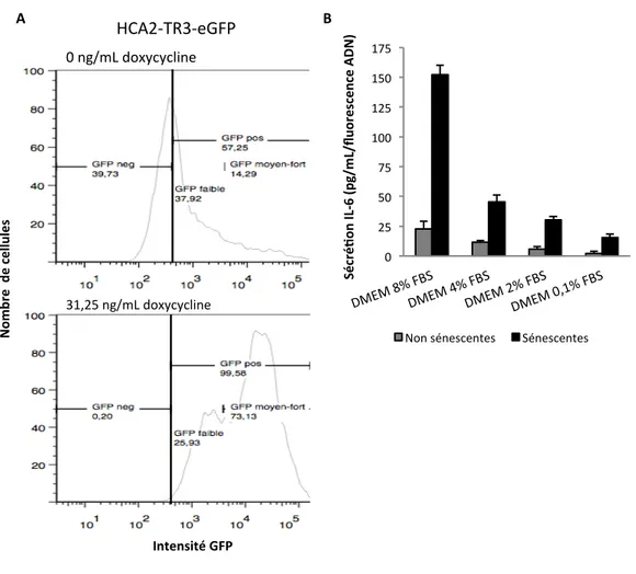 Figure  9.  Optimisation  du  protocole  d’induction  pour  la  concentration  de  doxycycline  et  la  composante pro-inflammatoire du FBS