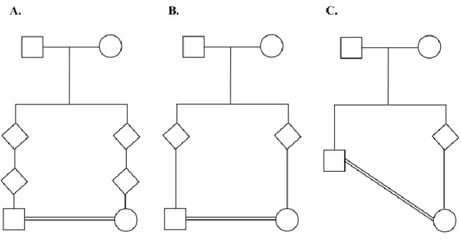 Figure I.2 Pédigrées illustrant différents degrés de consanguinité dans des familles.  A.Union entre cousins de deuxième génération