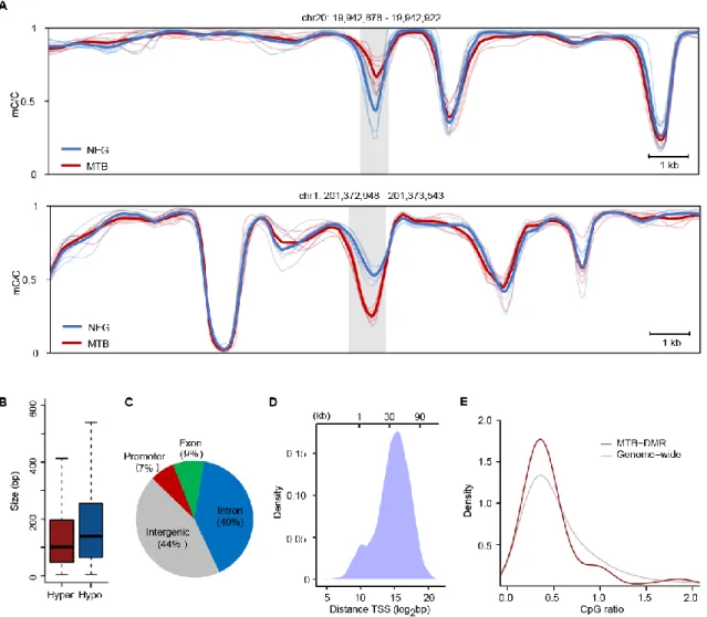 Figure 1. DC Methylome is Dynamically Remodeled during MTB Infection 