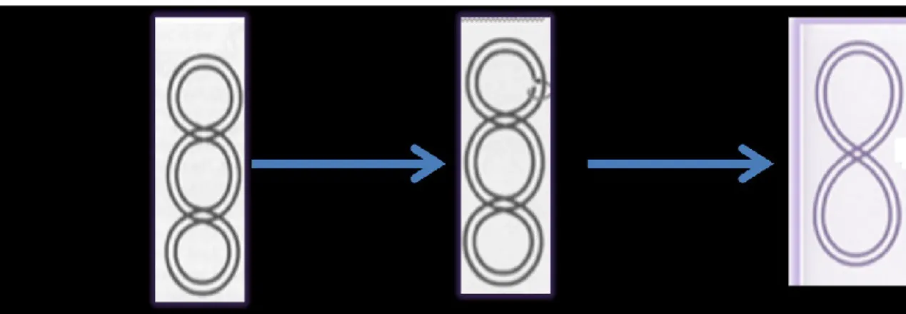 Figure  3 :  Représentation  de  l’action  des  topoisomérases  de  type  I   la 