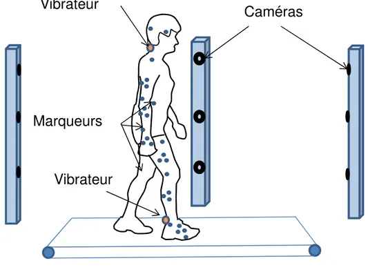 Figure 3 : Description du dispositif expérimental, le participant est équipé avec les marqueurs  infrarouges (points bleus), les vibrateurs  au cou ou à la cheville (disques orange)  