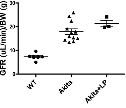 Figure 3. Données physiologiques des souris Akita mâles traitées ou pas avec les inhibiteurs du 