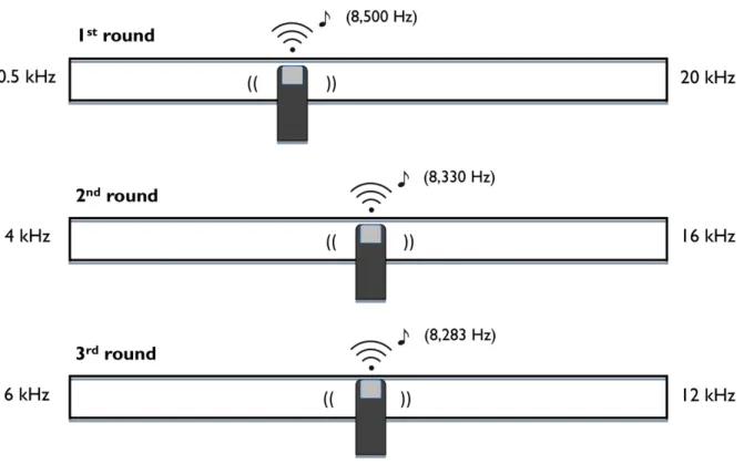 Figure  2:  A  schematic  view  of  the  tinnitus  matching  procedure  using  the  slider