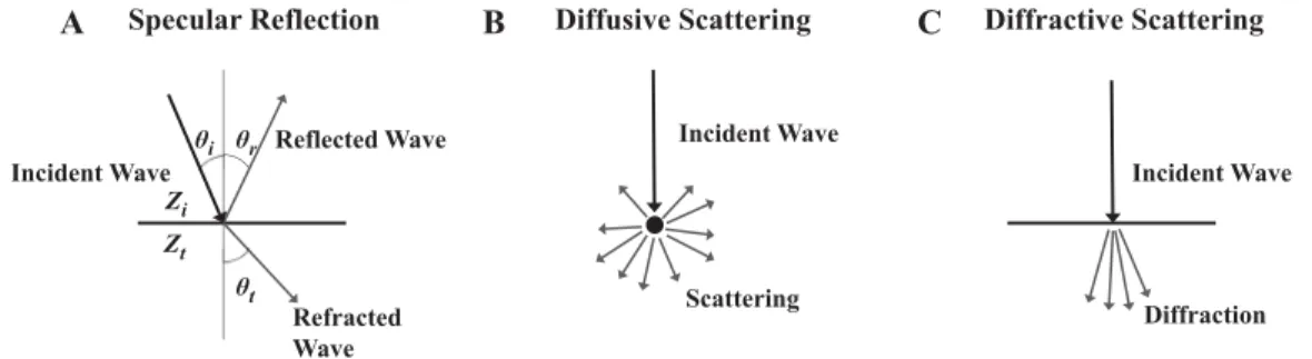 Figure 1.2: Illustration of the three major modes of scattering in tissue: A. Specular reflection, B