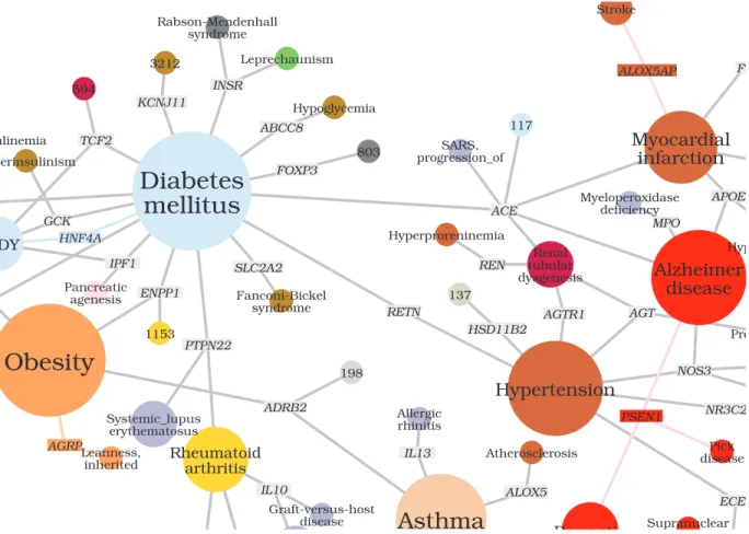 Figure 4. Close view  of  the original figure “The human disease network” [26].  Copyright  (2007) National Academy of Sciences, U.S.A.