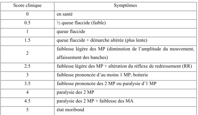 Tableau 1 : Échelle de score clinique (paralysie) 