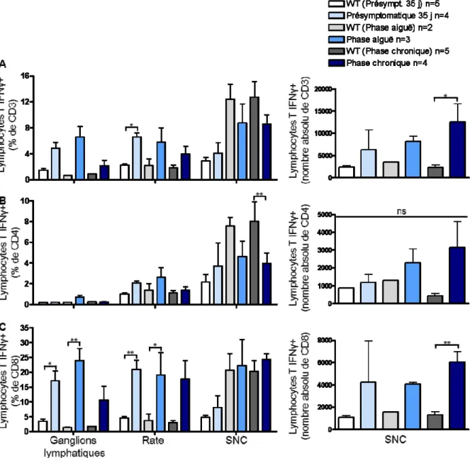 Figure 9. Augmentation de la production d’IFNγ par les lymphocytes T cytotoxiques  dans le modèle TCR1640