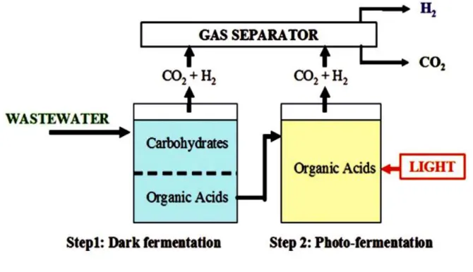 Figure 4. A two-step approach for biohydrogen production  5