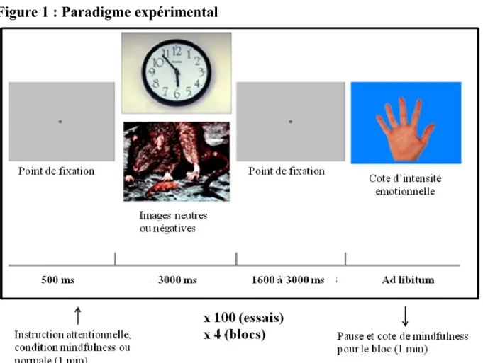 Figure 1 : Paradigme expérimental 
