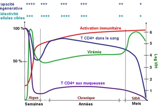 Figure 4. Phases cliniques de l’infection à VIH-1. Adapté de Grossman et al. (57) et reproduit 