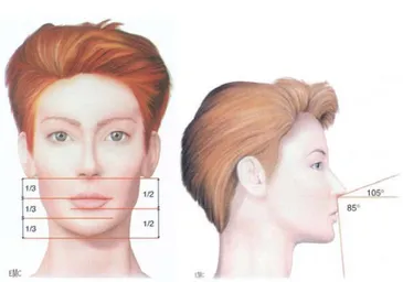 Figure n°1. Examen maxillo facial  exo buccal.[3] 
