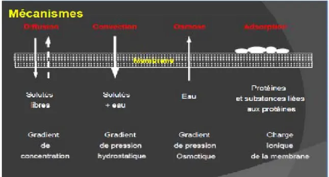 Figure 3: Principes de l’hémodialyse 