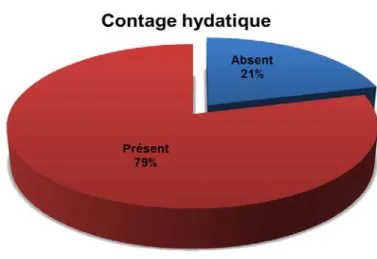 Figure N° 6: Répartition des patients selon le contact avec les chiens 