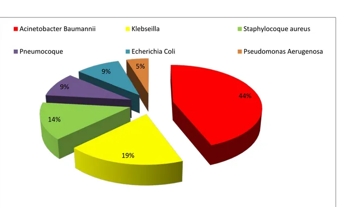Figure 7 : Les germes retrouvés dans les différents prélèvements réalisés 