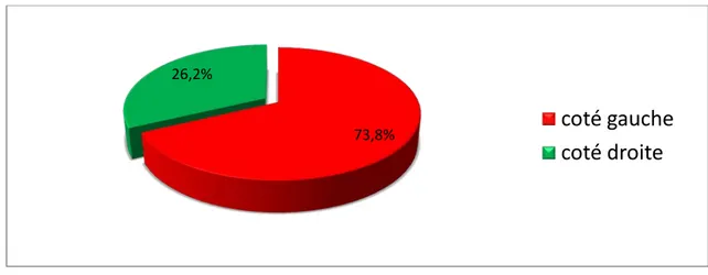 Figure 12: Répartition des patients selon le côté atteint : 73,8% 26,2%  coté gauche coté droite 4,78% 9,52% 23,8% 61,9% Garden I Garden II Garden III Garden IV 