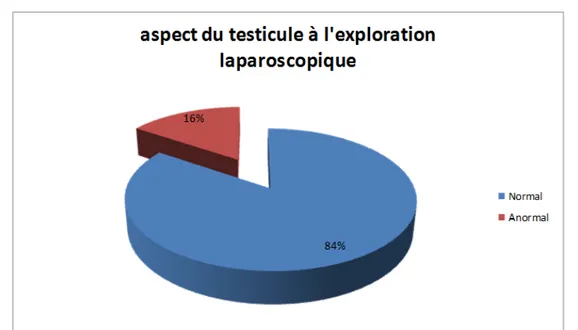 Figure 5: Aspect du testicule à l’exploration laparoscopique 