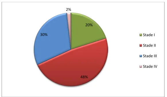 Figure 8 : Stadification des escarres 20% 48% 30% 2%  Stade I  Stade II  Stade III  Stade IV 
