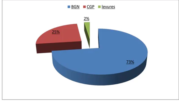 Figure 4 : Répartition des principaux germes responsables d’IN 