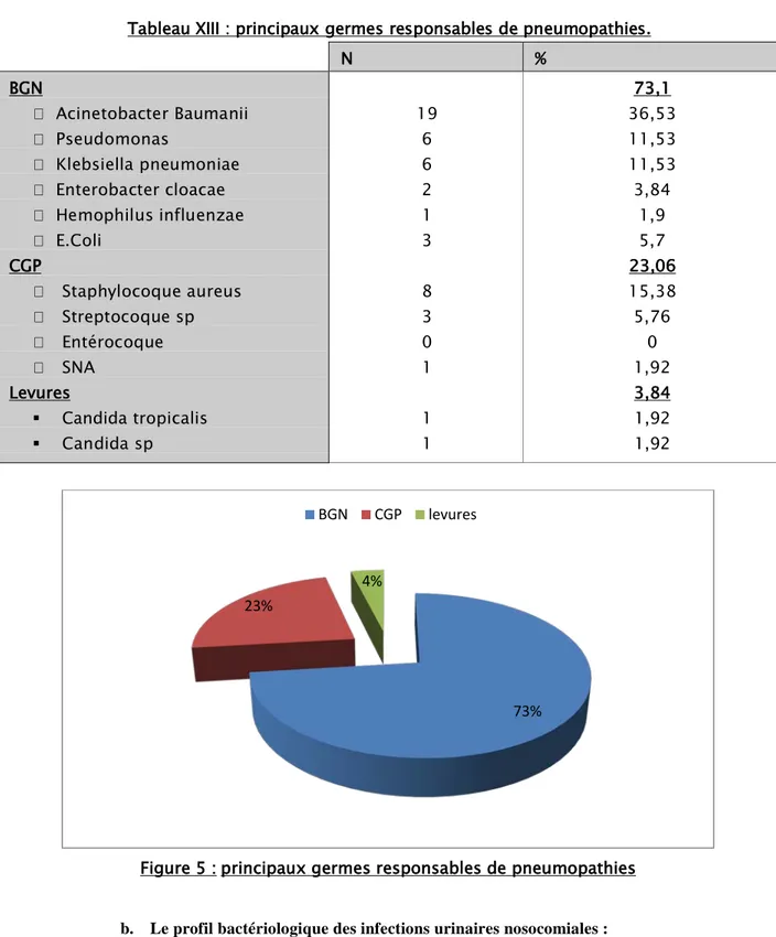 Tableau XIII : principaux germes responsables de pneumopathies.  N  %  BGN    Acinetobacter Baumanii    Pseudomonas    Klebsiella pneumoniae    Enterobacter cloacae    Hemophilus influenzae    E.Coli  CGP    Staphylocoque aureus    Streptocoque sp    Entérocoque    SNA  Levures    Candida tropicalis    Candida sp  19 6 6 2 1 3 8 3 0 1 1 1  73,1  36,53 11,53 11,53 3,84 1,9 5,7 23,06 15,38 5,76 0 1,92 3,84 1,92 1,92 