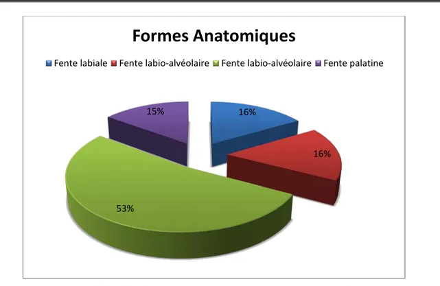 Figure 3 : Distribution des fentes selon leurs formes anatomiques. 