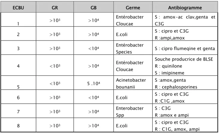 Tableau IV : Les résultats de l’ECBU chez les malades présentant une infection urinaire  ECBU  GR  GB  Germe  Antibiogramme 