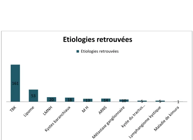 Figure 11 : Les étiologies diagnostiquées par l’examen anatomo-pathologique 161 53 20 18 13 14 10 5 5 1  Etiologies retrouvées  Etiologies retrouvées 