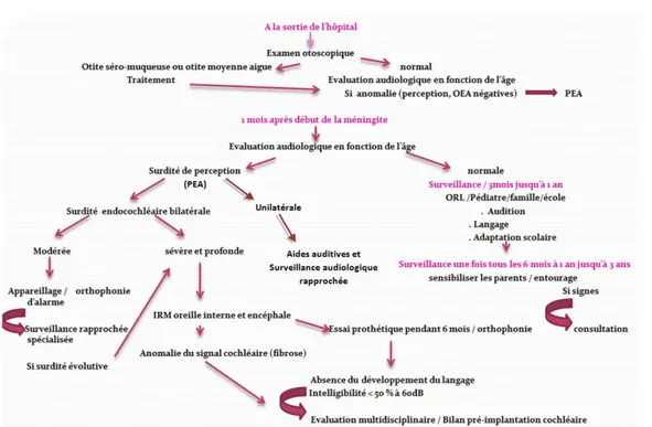 Figure 1 : Protocole adopté dans notre étude pour le dépistage des surdités post méningite  bactérienne chez les enfants