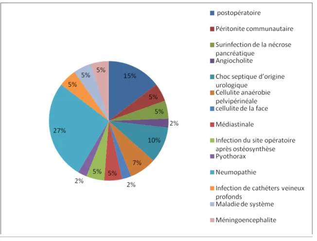 Figure 7: Répartition des patients en fonction du siège de l’infection médicale                             ou chirurgicale en % 