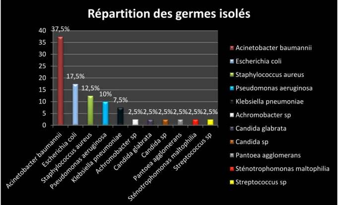Figure 3 : Répartition des germes isolés en culture du PBDP 