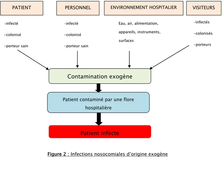 Figure 2 : Infections nosocomiales d’origine exogène 