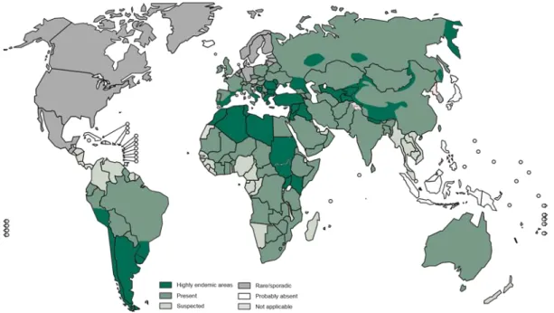 Figure n° 7 : Répartition géographique de l’hydatidose 2012 [8]. 