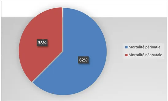 Figure 13  : Répartition des nouveau-nés en fonction de la mortalité 