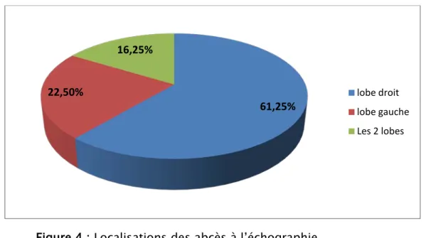 Figure 4 : Localisations des abcès à l’échographie 