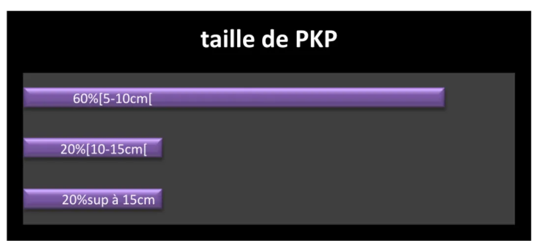 Figure 4 : Répartition des PKP objectivés par la TDM en fonction de leur taille 