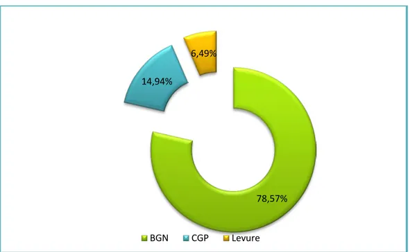 Figure 7 : Distribution totale des germes isolés 78,57% 