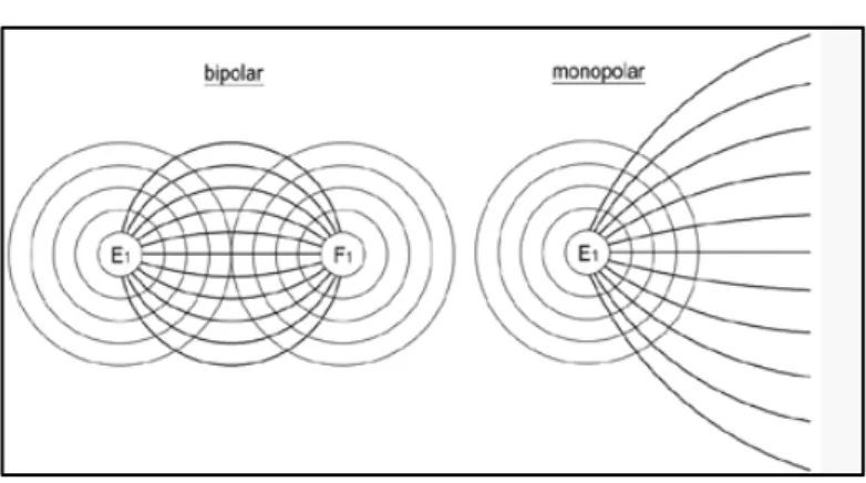 Figure 4 : différence de l’aspect du champ de stimulation entre une sonde bipolaire (à gauche)  et monopolaire (à droite) [8] 