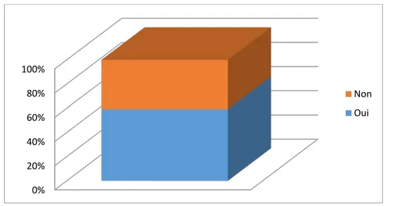 Figure 10: Conflit avec famille 43% 