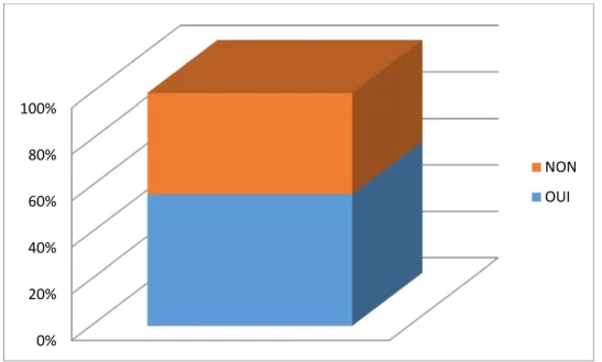 Figure 11: Antécédent judiciaire 
