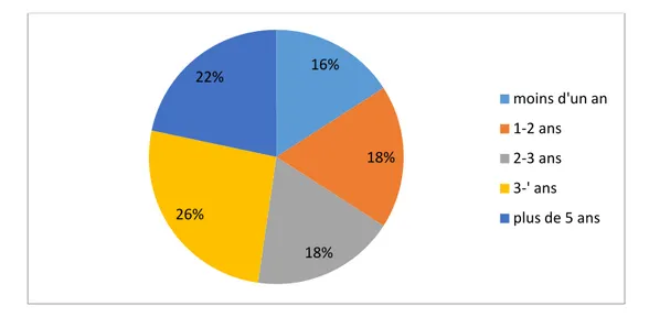 Figure 18: Durée d'explosion  8% 40% 31% 21%  moins de 15 ans 15 à 18 ans 18 à 21 ans après 21 ans 16% 18% 18% 26% 22% moins d'un an 1-2 ans 2-3 ans 3-' ans plus de 5 ans 