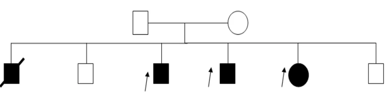 Figure 8: Arbre généalogique  d’un cas de maladie de Friedreich 