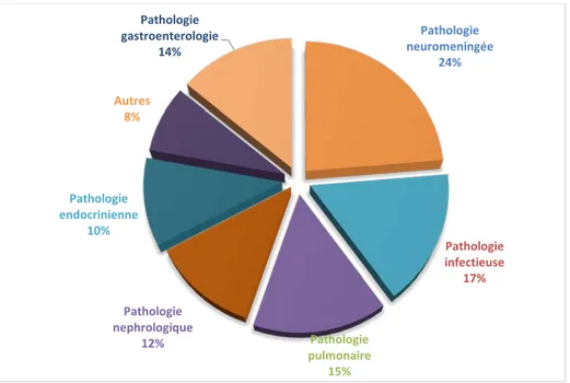 Figure 6 : Répartition des patients selon le motif d’hospitalisation 