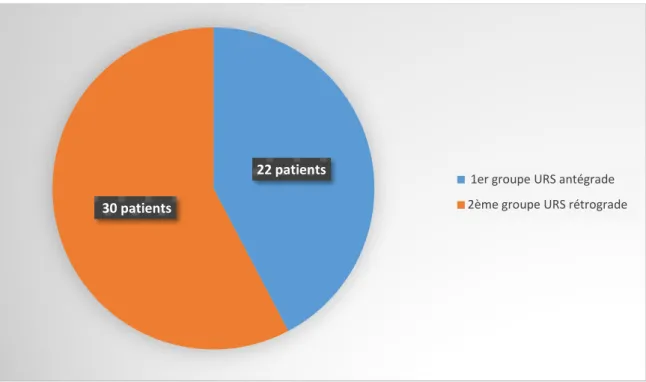 Figure 58  : Répartition des malades sur les deux groupes de notre série. 22 patients 
